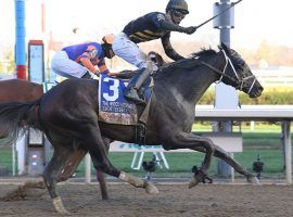 Don't get used to the scene of Kendrick Carmouche celebrating aboard Bourbonic. The 72/1 surprise Wood Memorial winner is best left off your Kentucky Derby tickets. (Image: Susie Raisher/Coglianese Photos)