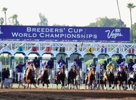 This year's Breeders' Cup World Championships return to Del Mar for the first time since 2017. There are 84 Challenge Series events offering berths in the 14 races. (Image: Getty)