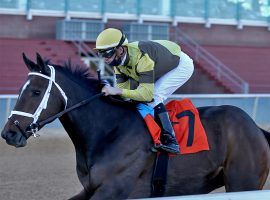 Caddo River won January's Smarty Jones Stakes as the lone speed. The projected pace-setter for Saturday's Kentucky Derby scratched Sunday due to a fever. (Image: Coady Photography)