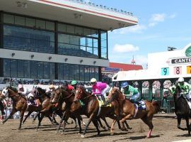 At 10%, Canterbury Park offers the lowest Pick 6 takeout of any North American track. Both the Minnesota track and NYRA's Belmont Park return to a traditional Pick 6 for their upcoming meets. (Image: Canterbury Park)