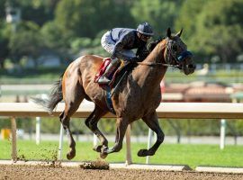 Cezanne's nearly 10-length victory in Sunday's Grade 3 Kona Gold Stakes helped one lucky Rainbow Pick 6 ticket holder to a $423,202 payday. (Image: Benoit Photo)