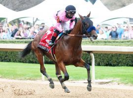 Concert Tour won the Rebel Stakes in March. But his third-place in the Arkansas Derby a month later, led to his connections pulling the one-time Kentucky Derby darling out of the May 1 Derby. (Image: Coady Photography)