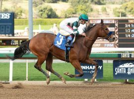 Champion Female Sprinter of 2020 Gamine returns to her Santa Anita Park roots Sunday in the Grade 3 Las Flores Stakes. (Image: Benoit Photo)