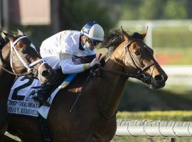 Hit the Road scored his first Grade 1 win in last month's Frank E- Kilroe Mile at Santa Anita. He goes East in search of No. 2 in Friday's Maker's Mark Mile at Keeneland. (Image: Benoit Photo)