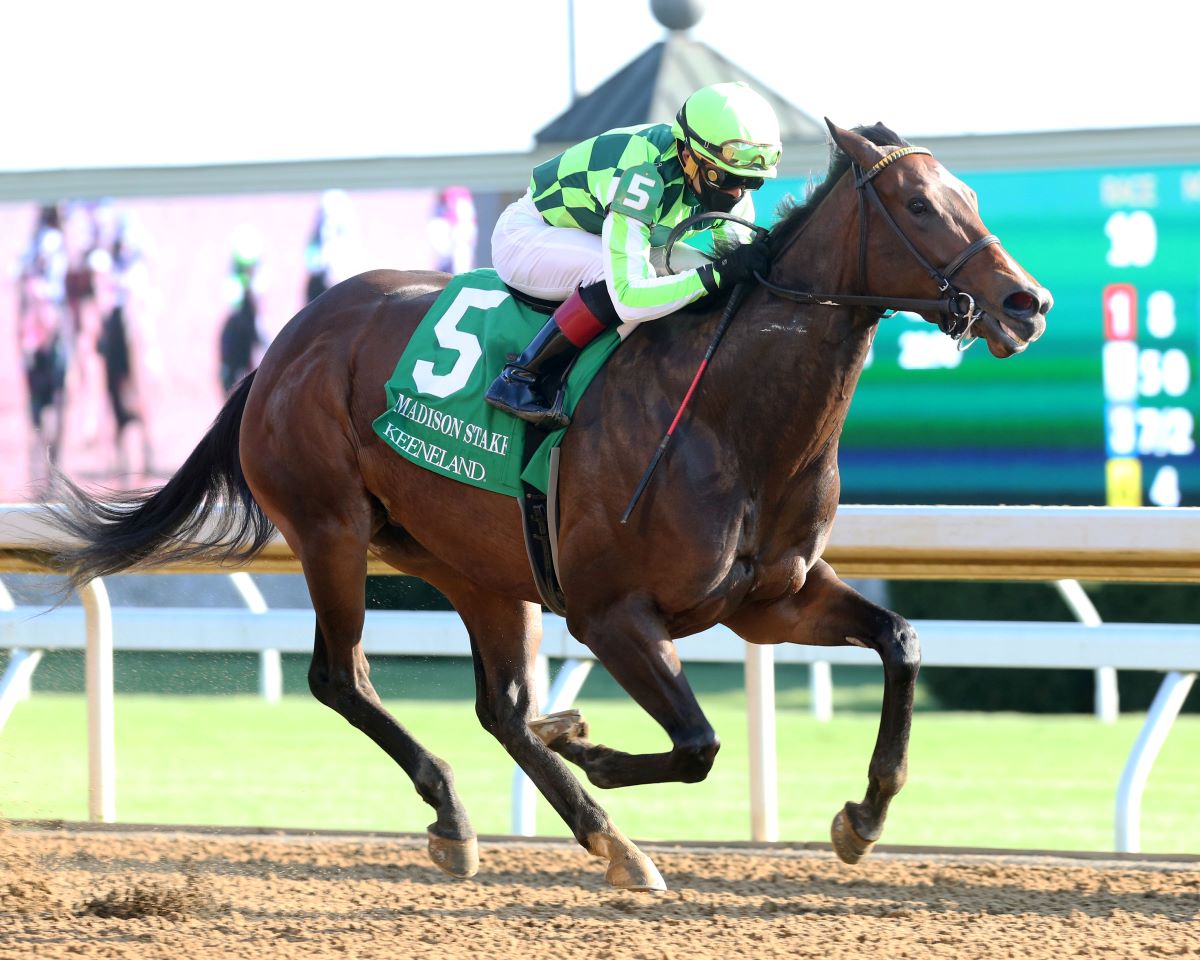 Rosario Hot Jockey