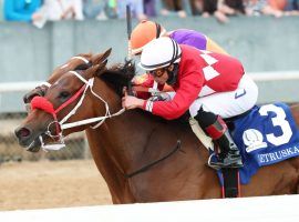 The nose -- in this case, Letruska's -- knows victory. The mare held off champion Monomoy Girl by a nose to win the Grade 1 Apple Blossom Handicap. It marked Letruska's first Grade 1 win in the US. (Image: Coady Photography)