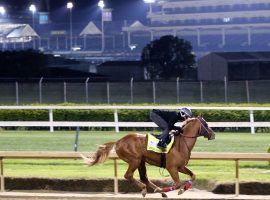 O Besos has never been the lone speed in a race. But the live Kentucky Derby long shot was during a predawn Thursday workout at Churchill Downs. (Image: Churchill Downs/Coady Photography)