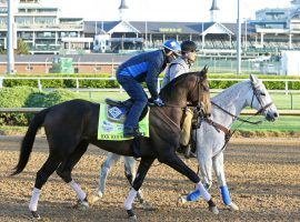 The Kentucky Derby is only Rock Your World's second start on dirt. He is the fastest horse in the field based on speed figures. (Image: Churchill Downs/Coady Photography)