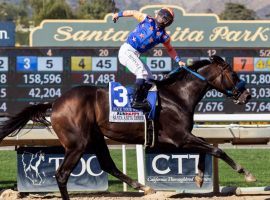 Jockey Umberto Rispoli had reason to celebrate his 4 1/2-length Santa Anita Derby victory. But Rispoli won't ride the undefeated Candy Ride colt in the Kentucky Derby -- Joel Rosario will. (Image: Benoit Photo)