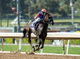 Rock Your World rocked Santa Anita Park's marquee race Saturday, winning the Santa Anita Derby by more than four lengths. Jockey Umberto Rispoli earned his first Grade 1 victory along the way. (Image: Benoit Photography)