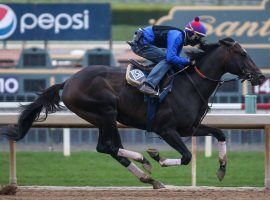 Rock Your Work brings an undefeated record and the best Beyer Speed Figure into the 2021 Kentucky Derby. But under Jon White's Derby Strike System, he brings two strikes to the Run for the Roses. Only seven horses since 1973 won the Derby with two strikes. (Image: Benoit Photography)