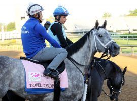 Travel Column takes it all in during a Wednesday workout at Churchill Downs. The daughter of Frosted is the 3/1 second favorite to win Friday's Kentucky Oaks. (Image: Churchill Downs/Coady Photography)