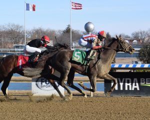 Crowded Trade-Preakness Preview