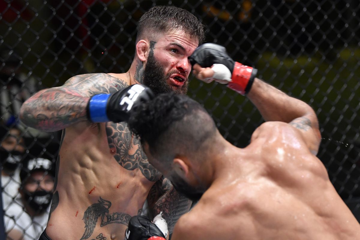 Font Garbrandt Cyborg Felder