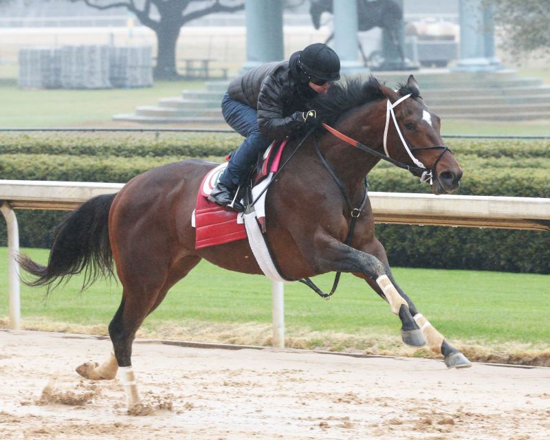 Keepmeinmind-Preakness preview