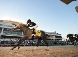 Knicks Go opened his 5-year-old campaign winning the Grade 1 Pegasus World Cup at Gulfstream Park. He returns to action three months after a fourth-place Saudi Cup finish in the May 31 Steve Sexton Mile at Lone Star Park. (Image: Coglianese Photos)