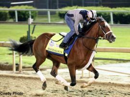 Bettors wagering on 26/1 Mandaloun to win the Kentucky Derby won't get rewarded if winner Medina Spirit is disqualified. Pari-mutuel payouts stand once a race is ruled official. (Image: Churchill Downs/Coady Photography)