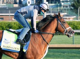 Even as the field begins forming, Kentucky Derby runner-up Mandaloun remains a maybe for the May 15 Preakness Stakes. (Image: Churchill Downs/Coady Photography)