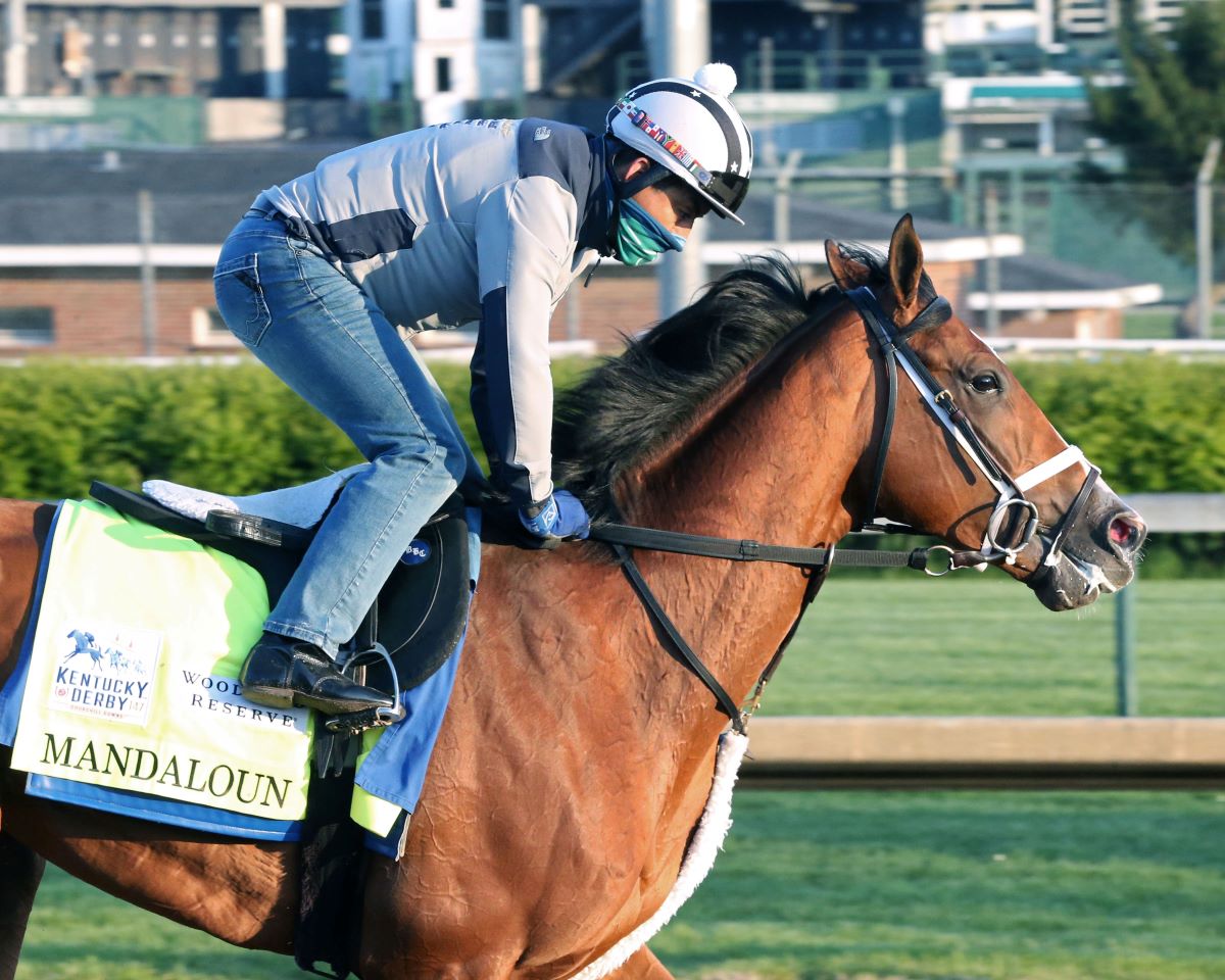 Mandaloun-Preakness plans