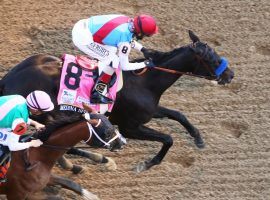 Medina Spirit and John Velazquez illustrate their tenacity in deep stretch, holding off Mandaloun to capture the 147th Kentucky Derby. (Image: Churchill Downs/Coady Photography)