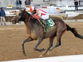 Risk Taking, seen here capturing the Withers Stakes two starts ago, joins the Preakness Stakes field. (Image: Joe Labozzetta)