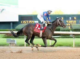 Super Stock seeks a Texas Derby title to go with his Arkansas Derby victory last month. The inaugural Texas Derby is Memorial Day at Lone Star Park. (Image: Coady Photography)