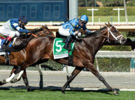 Smooth Like Strait is the 4/5 favorite for the Grade 1 Shoemaker Mile on Santa Anita Park's Memorial Day card. (Image: Benoit Photo)