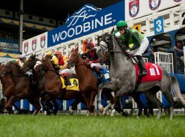 The Woodbine Racetrack gates open June 18. The Canadian track was shuttered due to a provincial COVID-19-related stay-at-home order issued in April. (Image: Woodbine Entertainment)