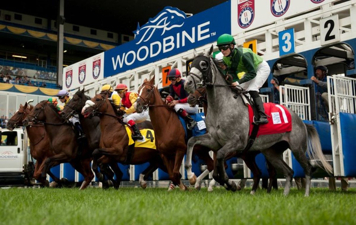 Woodbine resumes racing