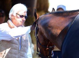 Trainer Bob Baffert and his prize Triple Crown charge, American Pharoah. In the wake of Baffert's latest failed medication test, Spendthrift, the large Kentucky breeding farm removed some horses from Baffert's barn. (Image: Susie Raisher/NYRA)