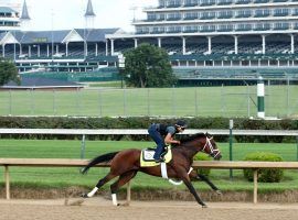 Art Collector and regular rider Brian Hernandez Jr. worked out four times at Churchill Downs. The one-time Triple Crown race threat returns for his 4-year-old campaign in the June 25 Kelly's Landing Overnight Stakes at Churchill Downs. (Image: Coady Photography)