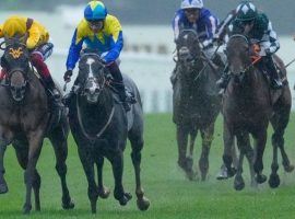 Campanelle (left) and Dragon Symbol needed a photo finish and stewards' inquiry to decide the Group 1 Commonwealth Cup at Royal Ascot. Campanelle prevailed after Dragon Symbol was cited for interference. (Image: Rex Features)