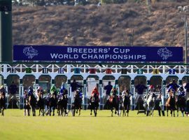 Just like the last time Del Mar played host to the Breeders' Cup in 2017, the seaside track will open to 100% of capacity. (Image: Sean M. Haffey/Getty)