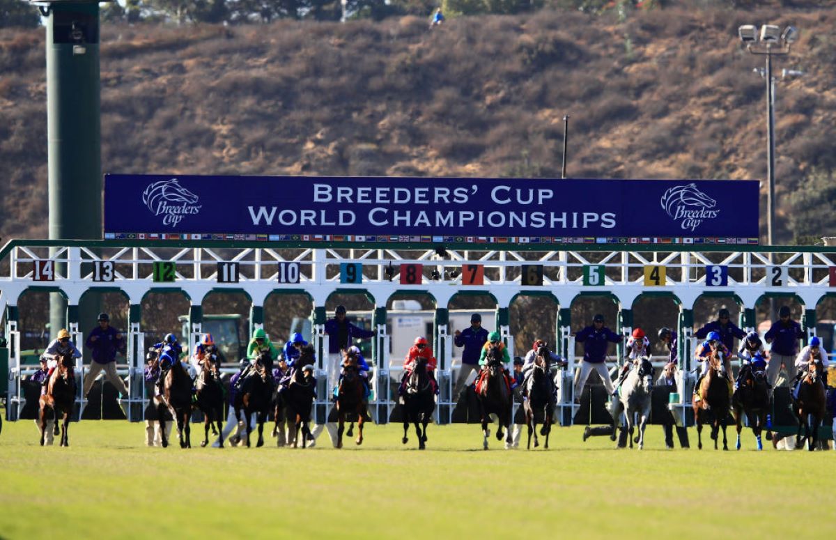 Breeders' Cup Del Mar Gate