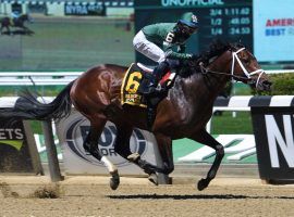 Dr Post won the Grade 3 Westchester Stakes last month. He jumps back into the Grade 1 pool for the first time in 11 months in Saurday's Metropolitan Handicap (Image: Janet Garaguso/NYRA Photo)