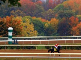 Keeneland's Fall Meet doesn't leave much to the imagination. It packs a hefty stakes punch: 22 stakes races ini 17 days. (Image: Twitter/Keeneland)