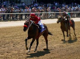 Letruska and jockey Jose Ortiz wired the field in the Grade 1 Ogden Phipps earlier this month. The pair just became the favorites for Saturday's Grade 2 Fleur de Lis at Churchill Downs. (Image: Seth Wenig/AP Photo)