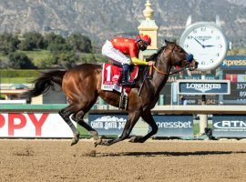 The freakish speed of Life is Good returned to the track Thursday for the first time since March. When he's ready to race, Life is Good will do so under new trainer Todd Pletcher. (Image: Benoit Photo)