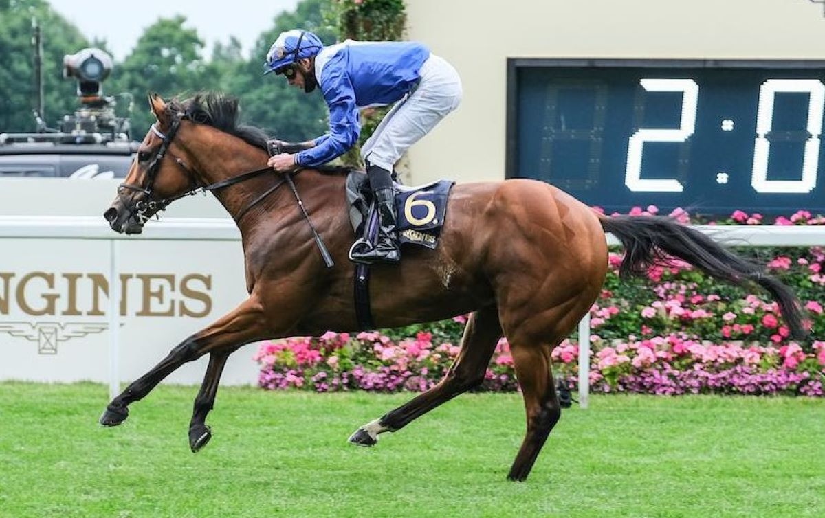 Lord North-Royal Ascot Day 2