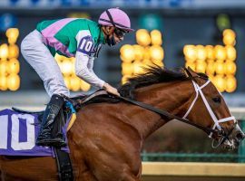 Risen Star winner and Kentucky Derby runner-up Mandaloun looms as the one to beat in Sunday's Listed Pegasus Stakes at Monmouth Park. (Image: Jamie Newell/Racingfotos.com)