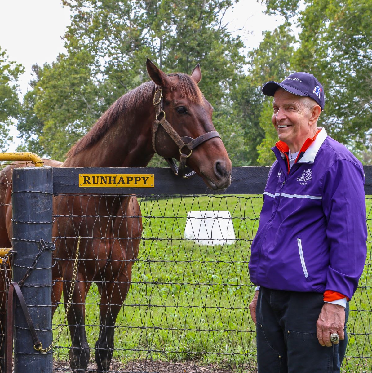 Mattress Mack-Horse Wagering