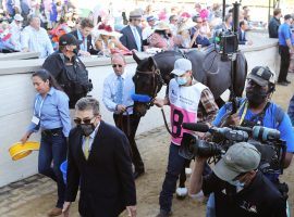 Kentucky Derby winner Medina Spirit remains the focus of a legal battle over his urine sample. On Wednesday, a Kentucky judge allowed further testing on the colt. (Image: Churchill Downs/Coady Photography)