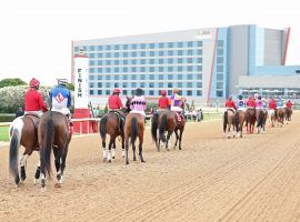 You'll see December post parades at Oaklawn Park this winter if the Arkansas Racing Commission approves the track's proposed meet extension. That would push Oaklawn's opening date from late January to early December. (Image: Coady Photography)