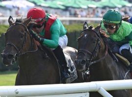 An in-foal Oleksandra had just enough to hold off favored Raging Bull in Sunday's Grade 3 Poker Stakes at Belmont Park. The 7-year-old mare retired after her eighth career victory. (Image: Joe Labozzetta/NYRA)