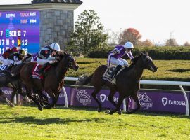 Order of Australia sent disorder into the betting markets when he won last year's Breeders' Cup Mile at 73/1. He is expected to meet favorite Palace Pier in the Queen Anne Stakes. A berth in the Breeders' Cup Mile at Del Mar awaits the winner. (Image: Breeders' Cup/Eclipse Sportswire)