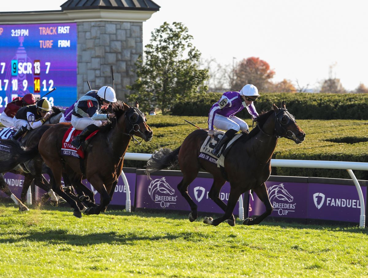 Order of Australia-Royal Ascot-BC