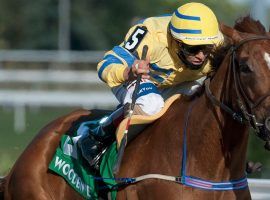 Pink Lloyd won the 2020 Jacques Cartier Stakes at Woodbine last June. The 9-year-old Canadian-bred gelding goes for his fifth Cartier title Sunday. (Image: Michael Burns Photo)