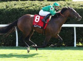 Raging Bull won this third Grade 1 race at April's Maker's Mark Mile at Keeneland. He faces non-Grade 1 competition for the first time since October 2018 in Saturday's Grade 3 Poker Stakes at Belmont Park. (Image: Coady Photography)