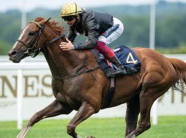 Stradivarius can tie Yeats' record with his fourth consecutive Gold Cup victory Thursday at Royal Ascot. (Image: britishchampionsseries.com)