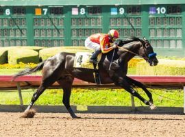 The Los Alamitos Derby, won by Uncle Chuck last year, has struggled to fill fields lately. It was postponed from Saturday to Sunday in an effort to draw more competitors. (Image: Benoit Photo)